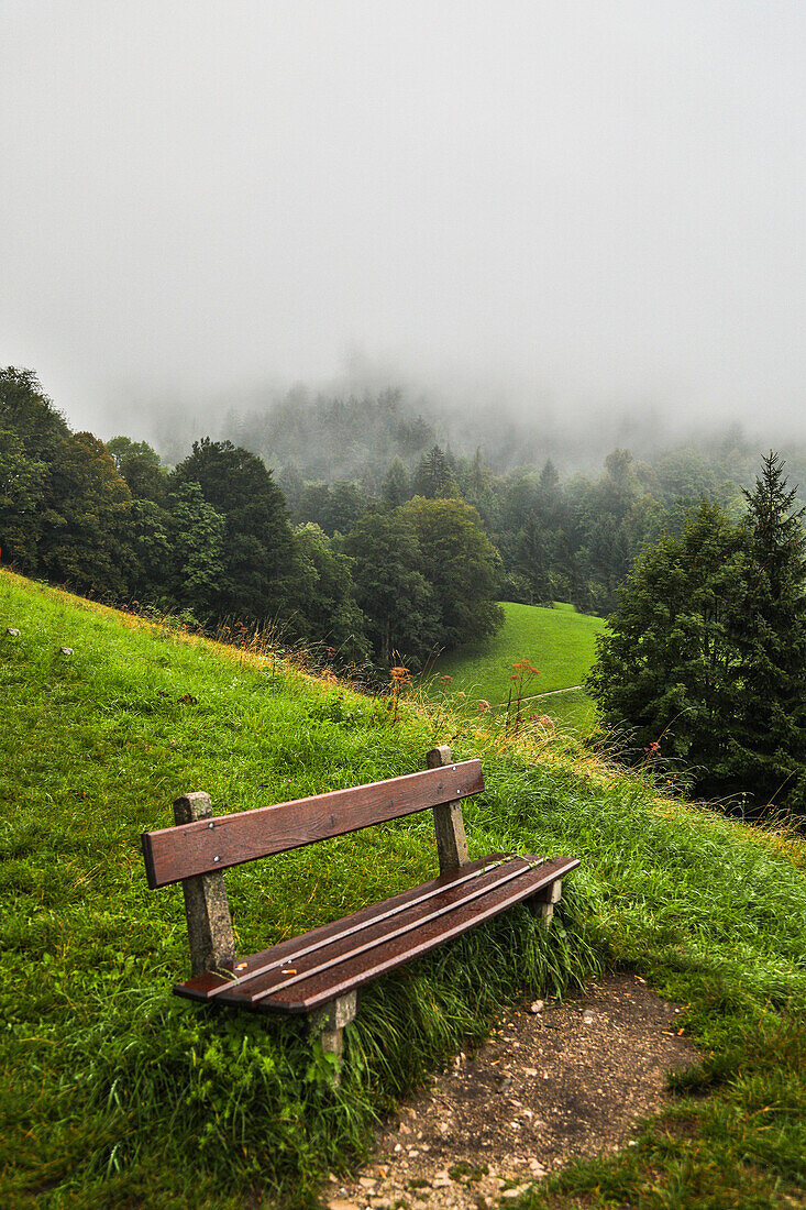 Europe, Germany, Bavaria, Berchtesgaden, Early Morning Fog