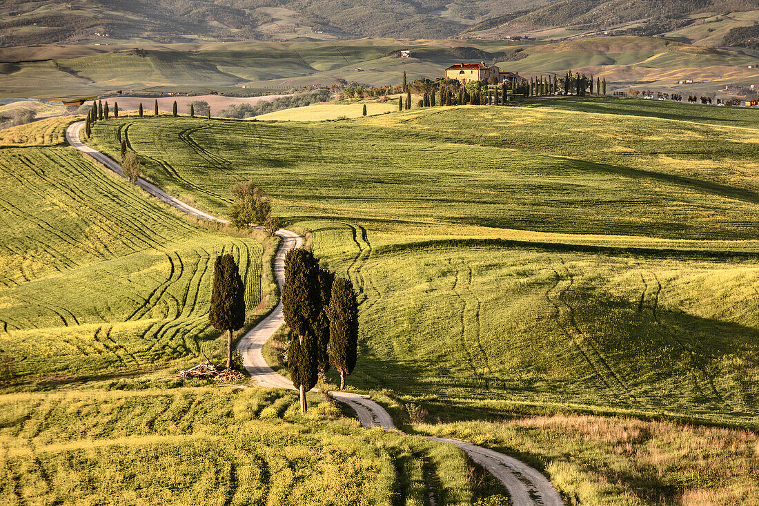 Europa, Italien, Toskana, Val d'Orcia