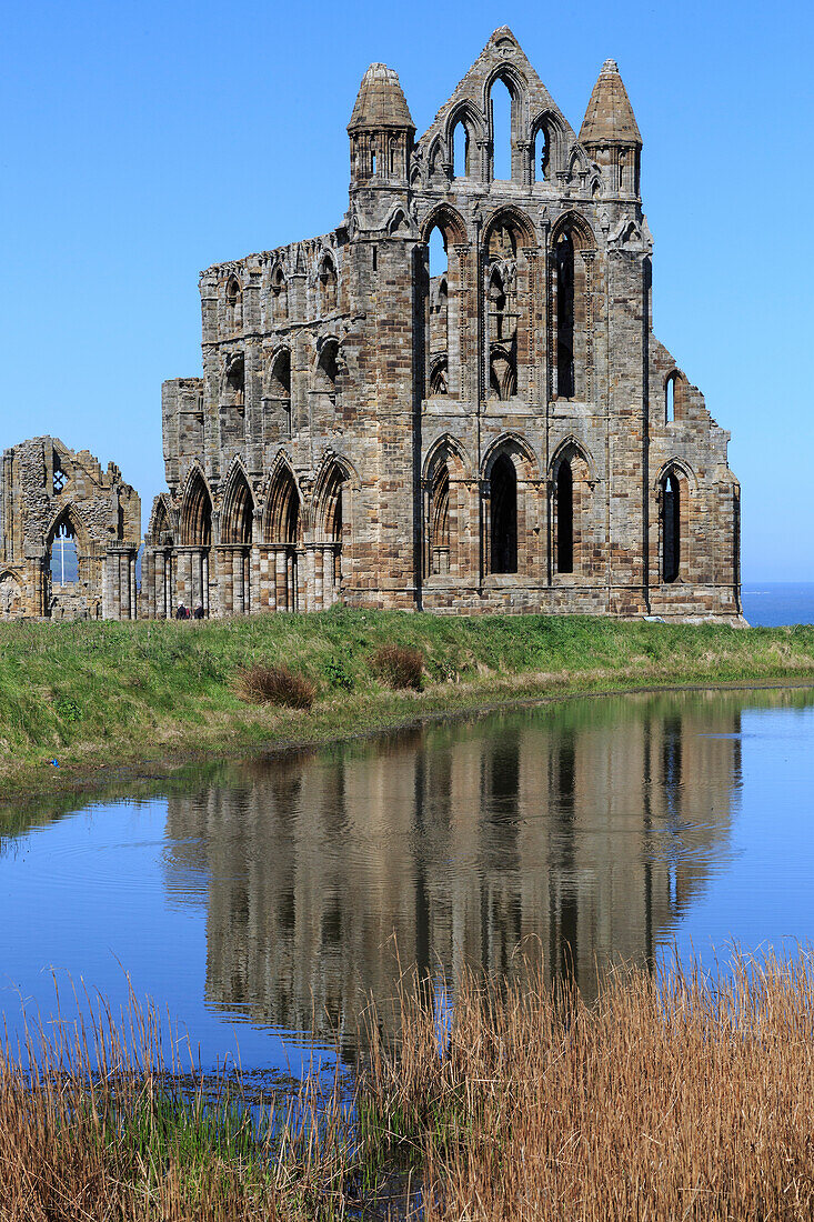 England, North Yorkshire, Whitby. Nordsee, Ostklippe. English Heritage Site, Ruinen der Benediktinerabtei, Whitby Abbey, Kloster. Inspiration für den frühen englischen Dichter Caedmon und für Bram Stokers Schauermärchen Dracula.