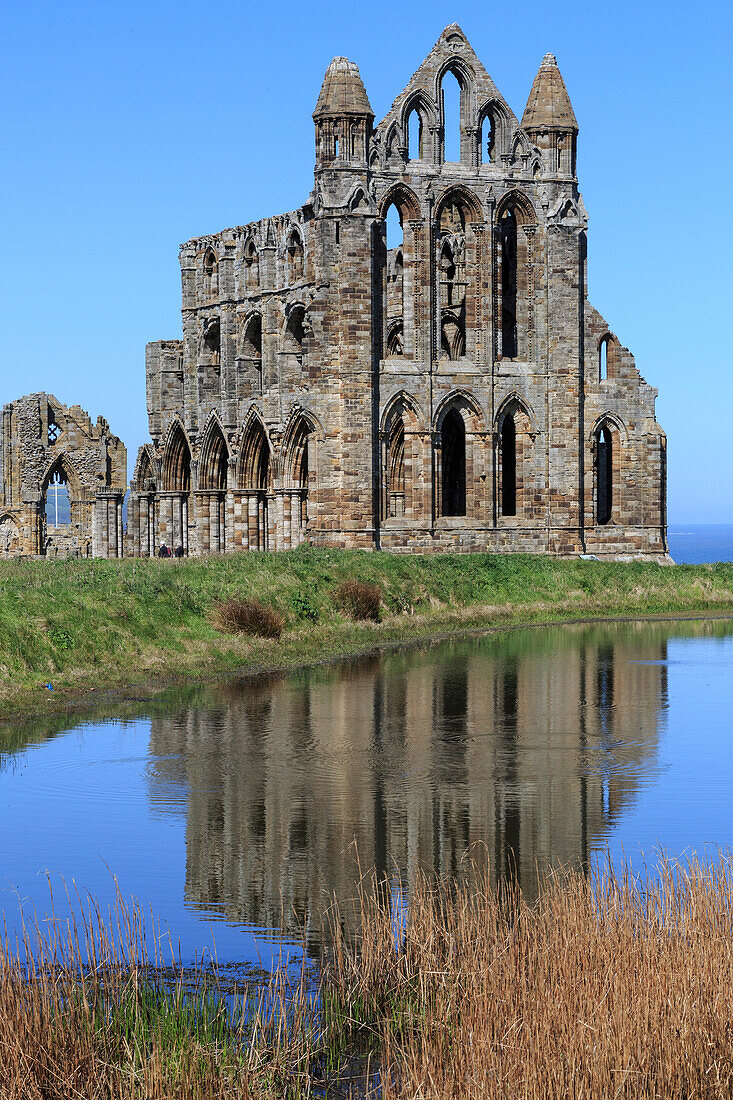 England, North Yorkshire, Whitby. North Sea, East Cliff. English Heritage Site, ruins of Benedictine abbey, Whitby Abbey, monastery. Inspiration for early English poet Caedmon and for Bram Stoker's gothic tale Dracula.