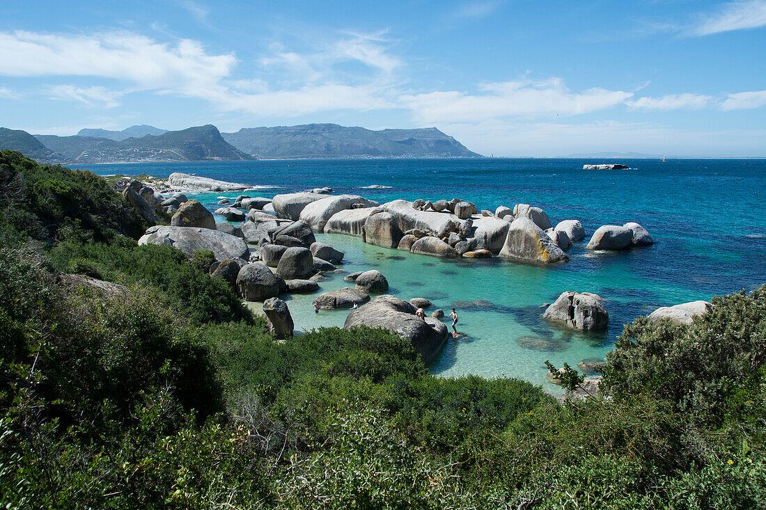 Südafrika, Kapstadt, Simons Town, Boulders Beach. Afrikanische Pinguinkolonie (Spheniscus Demersus).