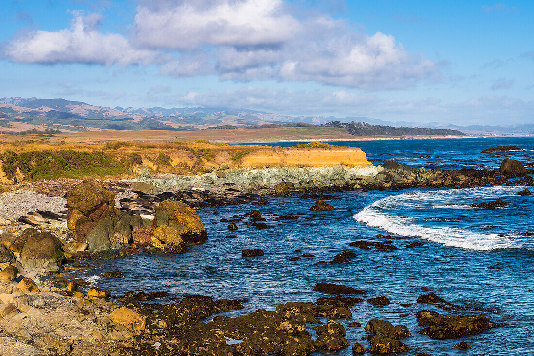 Felsige Küste bei Piedras Blancas See-Elefantenkolonie, San Simeon, Kalifornien, USA