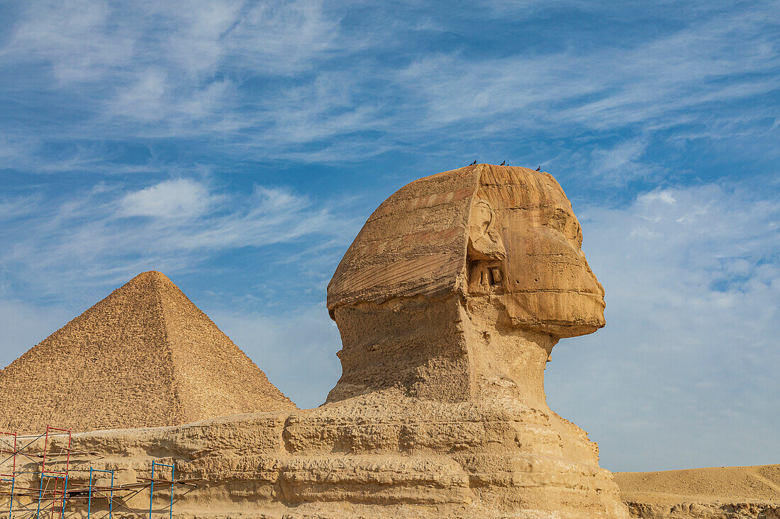 Afrika, Ägypten, Kairo. Gizeh-Plateau. Große Sphinx von Gizeh vor der Großen Pyramide von Gizeh.