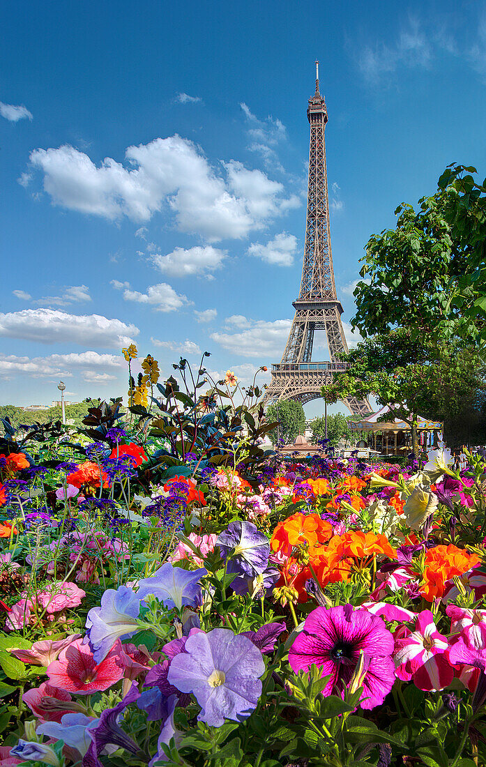 Fall and Eiffel Tower in Paris, France.