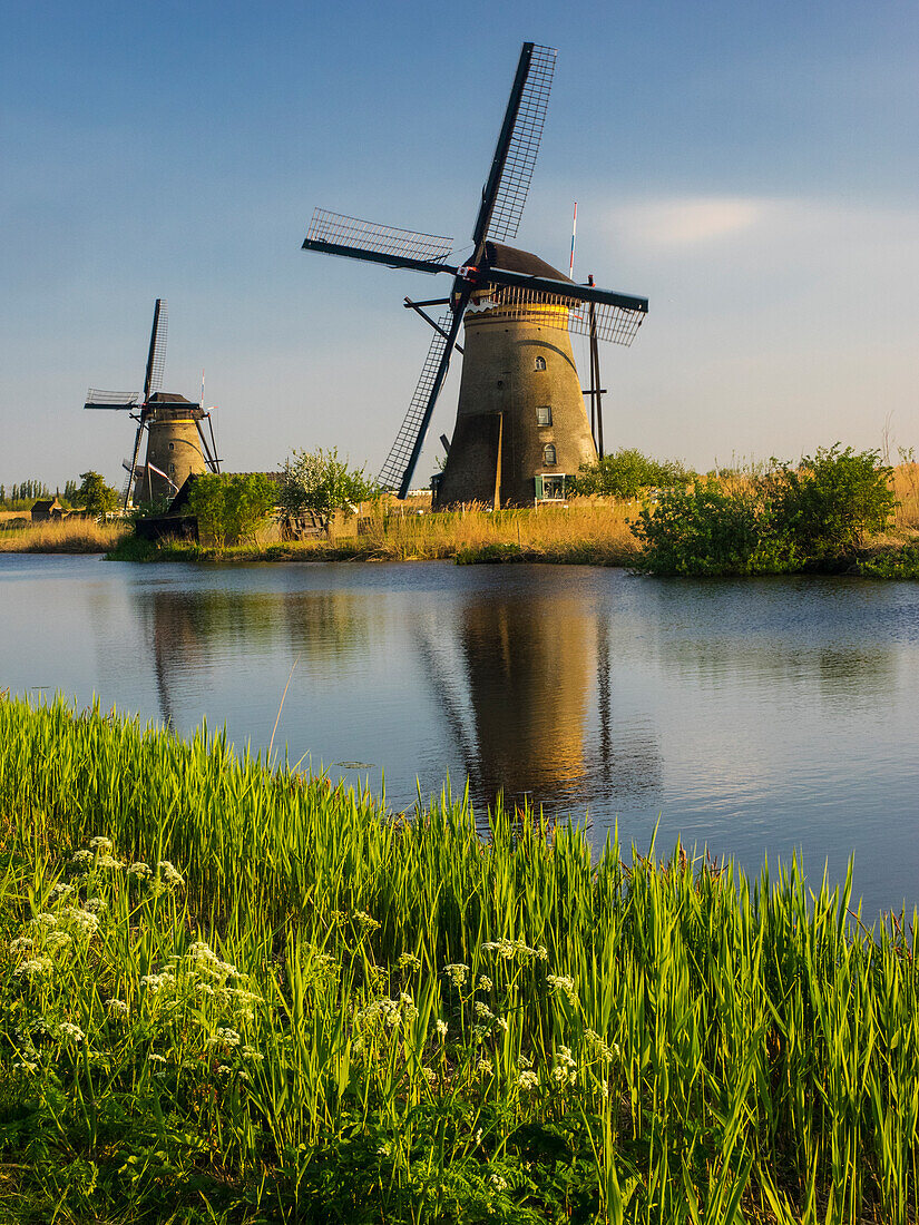 Niederlande, Kinderdijk, Windmühlen mit Abendlicht entlang der Kanäle von Kinderdijk