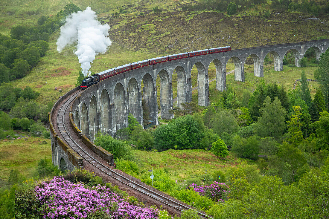 Scotland. The Jacobite Train on elevated track.