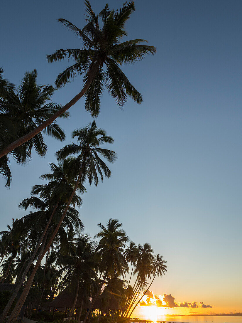 Fidschi, Vanua Levu. Strandsonnenuntergang mit Palmen.