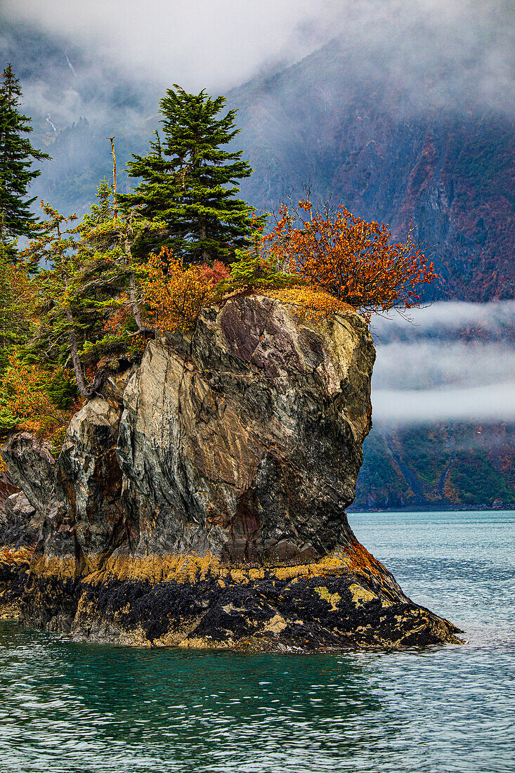 Prince William Sound, Alaska, Valdez, Insel, Herbst, Farbe, immergrün, Nebel