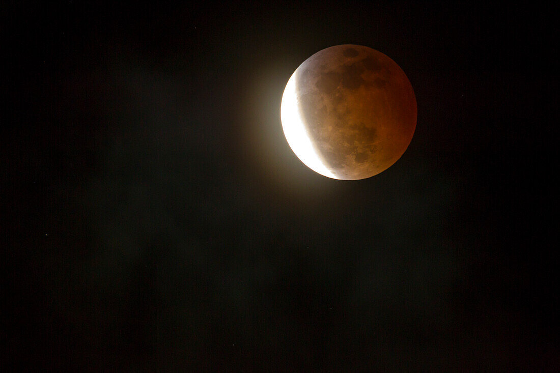 USA, California, San Luis Obispo County. Full blood moon lunar eclipse