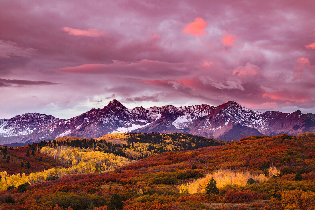 Autumn, aspen trees and Sneffels Range, Mount Sneffels Wilderness, Uncompahgre National Forest, Colorado