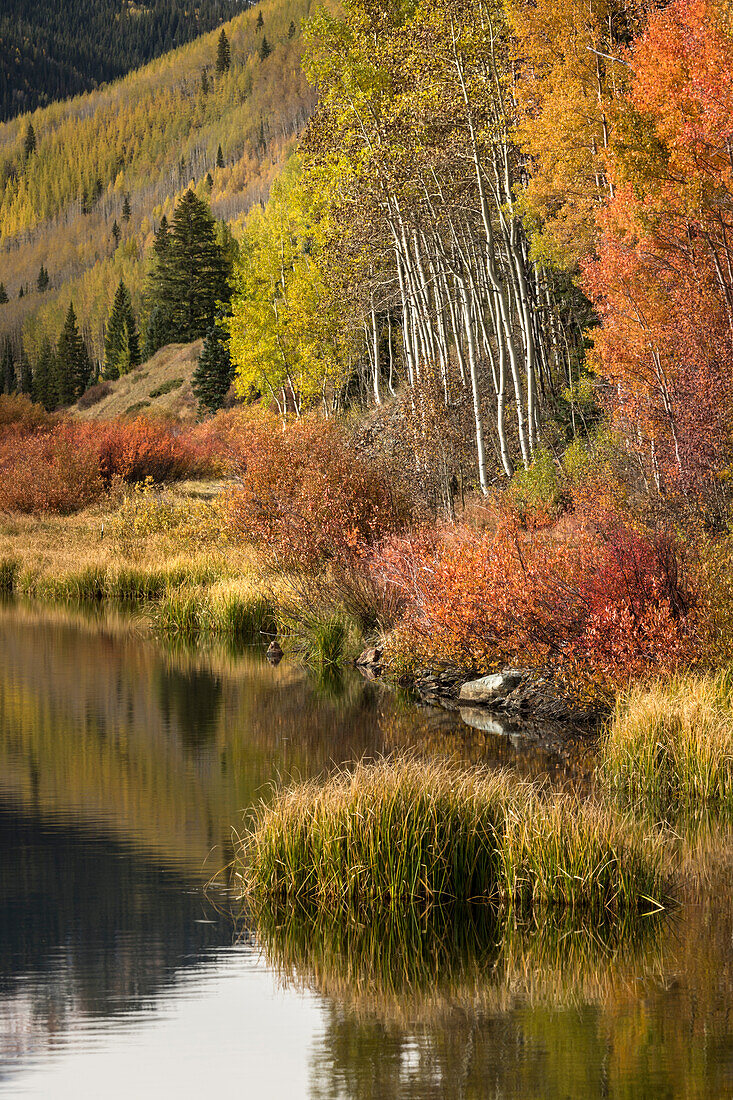 Herbstfarben am Ufer des Crystal Lake bei Sonnenaufgang, Uncompahgre National Forest, Colorado
