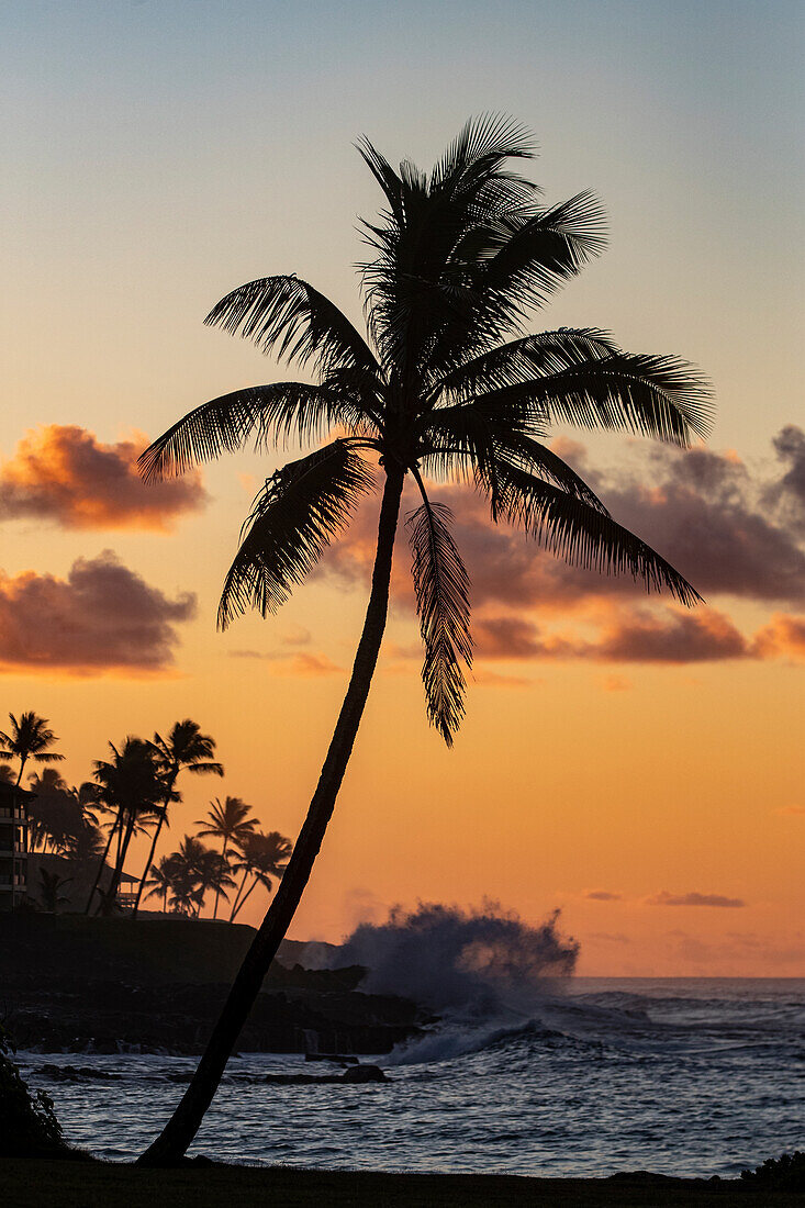 Kokospalmen silhouettiert gegen lebendige Sonnenaufgangswolken am Poipu Beach in Kauai, Hawaii, USA