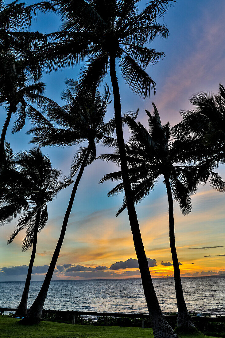 Sonnenuntergang und Silhouette Palmen, Kihei, Maui, Hawaii.