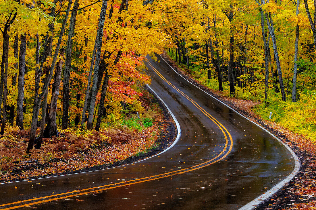 Highway 41 überdachte Fahrbahn im Herbst in der Nähe von Copper Harbor auf der oberen Halbinsel von Michigan, USA