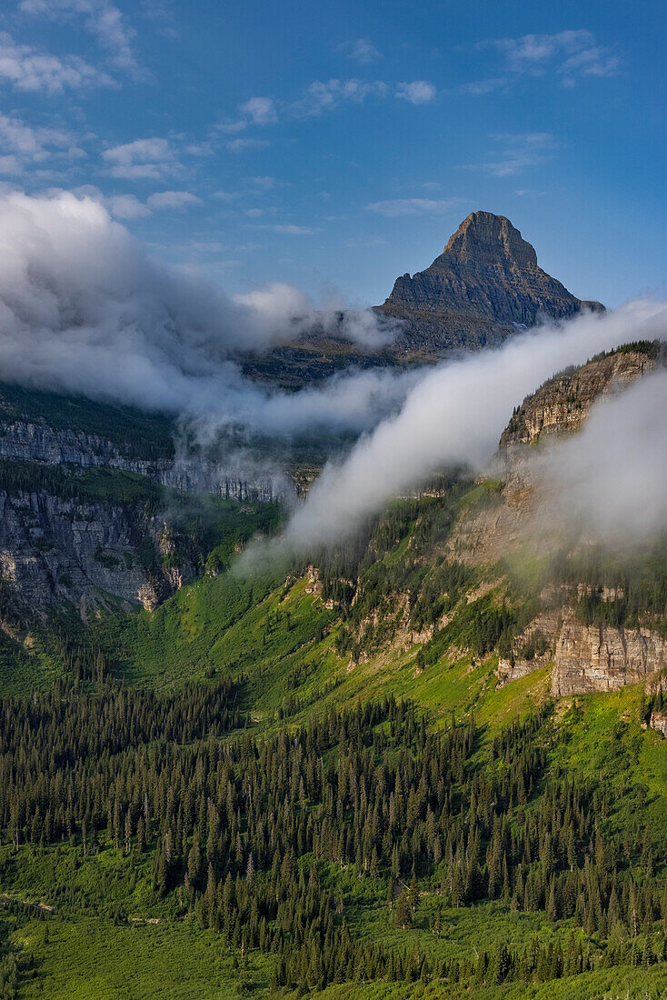 Rolling Nebelwolken mit Reynolds Mountains am Logan Pass im Glacier National Park, USA