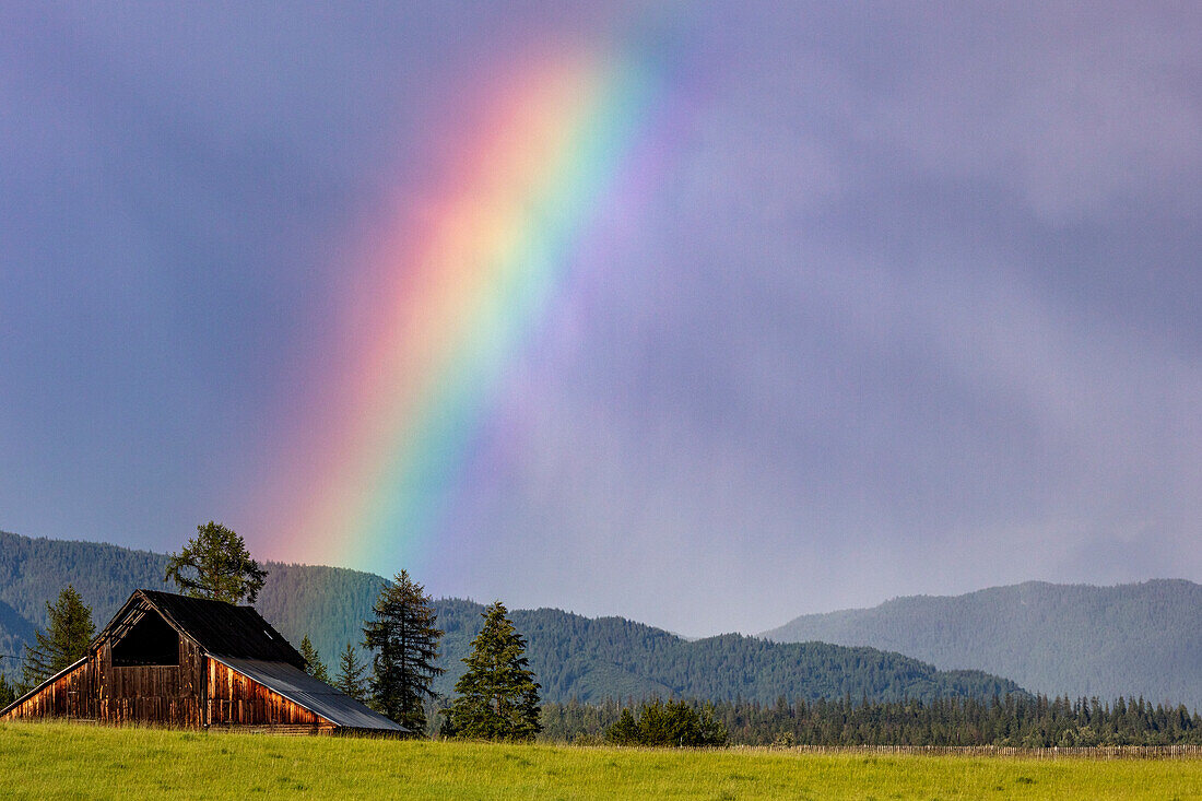 Rustic weathered barn with rainbow in Whitefish, Montana, USA