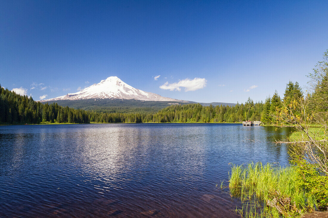 USA, Oregon, Hood River County. Mt. Hood spiegelt sich im Trillium Lake im Mt. Hood National Forest wider.