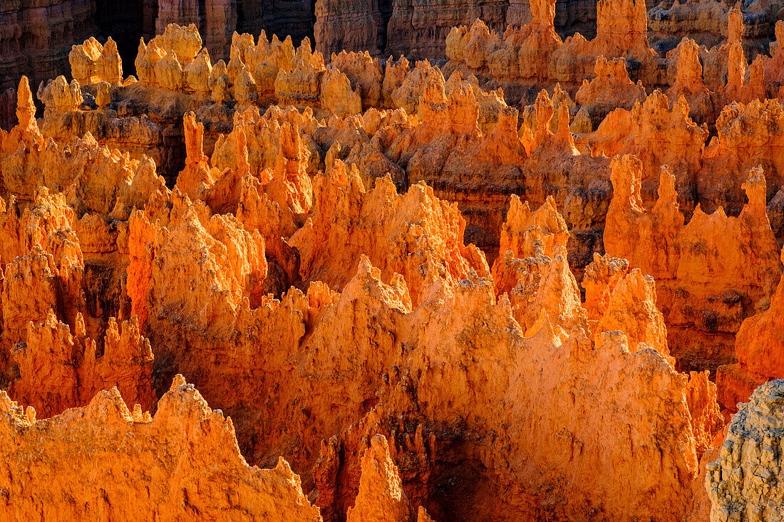 USA, Utah, Bryce-Canyon-Nationalpark, Detail, bunt
