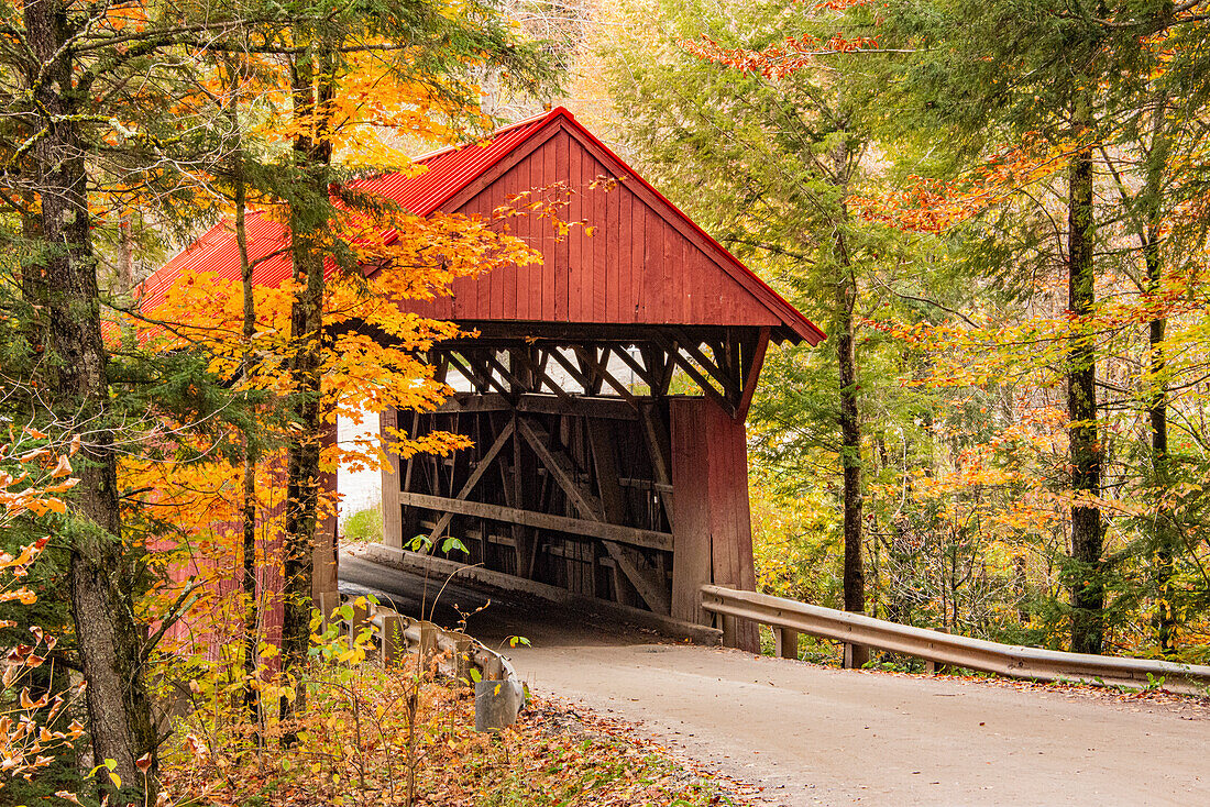 USA, Vermont, Stowe, Sterling Valley Road covered bridge in fall foliage