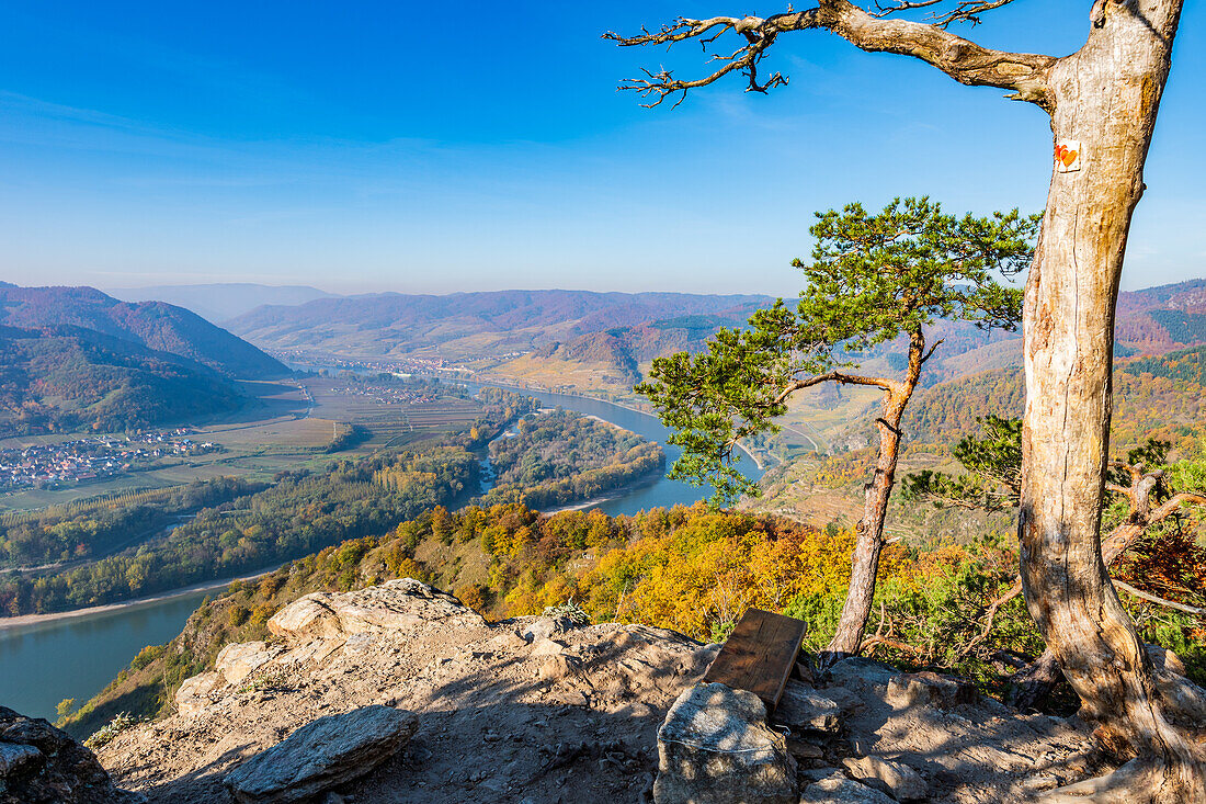 Blick von der Dürnsteiner Kanzel auf das Donautal in der Wachau, Niederösterreich, Österreich