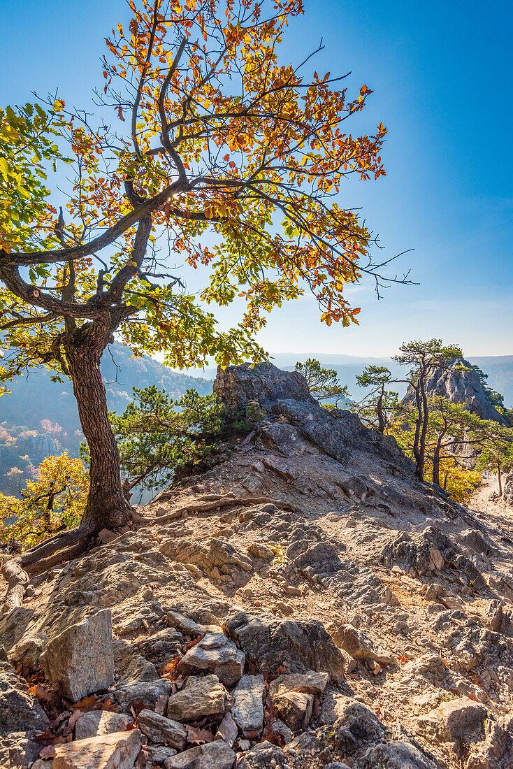 Landschaft am Vogelbergsteig bei Dürnstein in der Wachau, Niederösterreich, Österreich