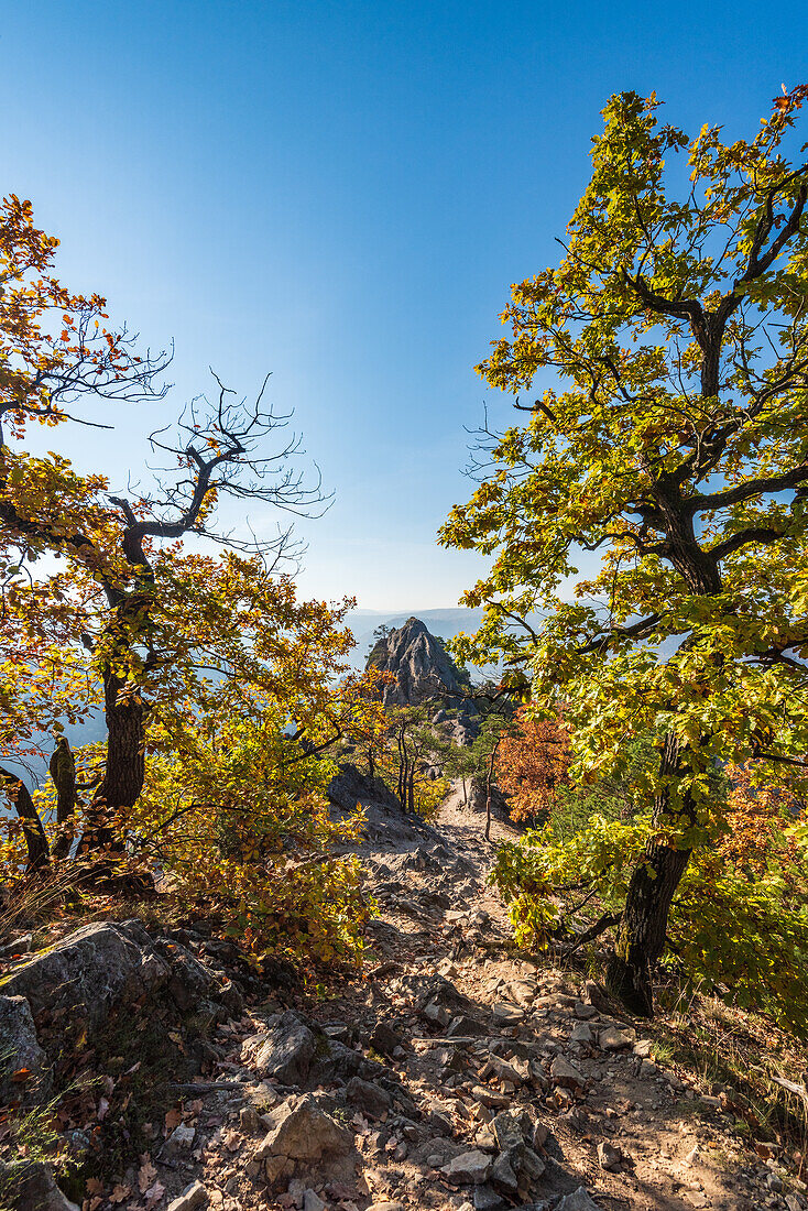 Landscape at the Vogelbergsteig near Dürnstein in the Wachau, Lower Austria, Austria