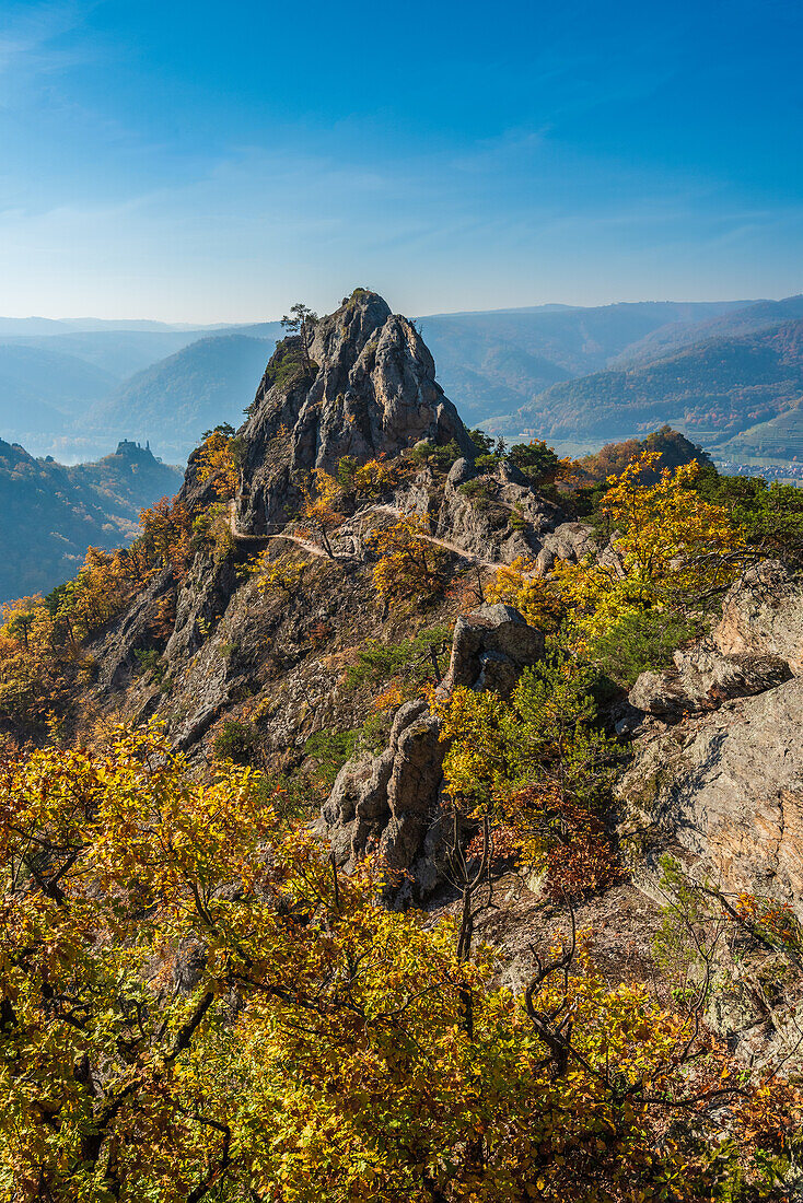 Landscape at the Vogelbergsteig near Dürnstein in the Wachau, Lower Austria, Austria