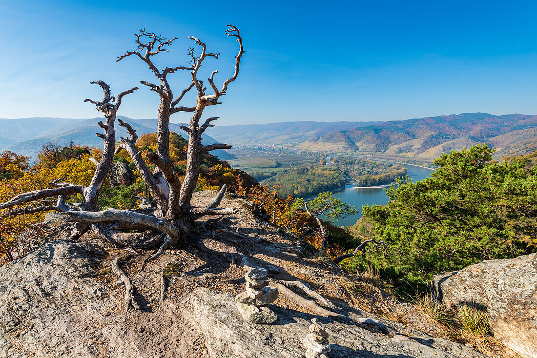 Blick auf das Donautal in der Wachau, Niederösterreich, Österreich