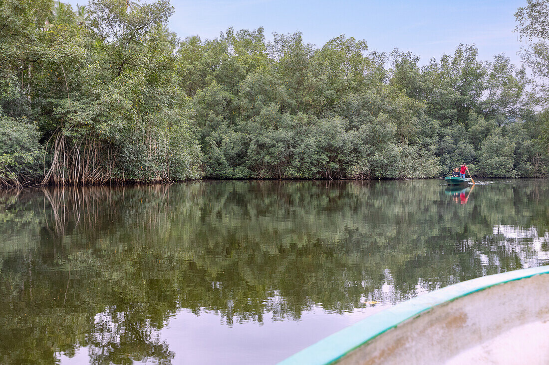 Malanza Mangrove Tour in the south of São Tomé island in West Africa