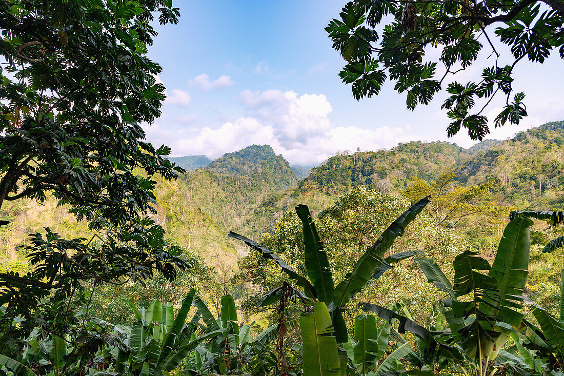 Ausblick auf Berglandschaft an der Rota do Cacau nahe dem Plantagendorf Roça Ponta Figo auf der Insel São Tomé in Westafrika