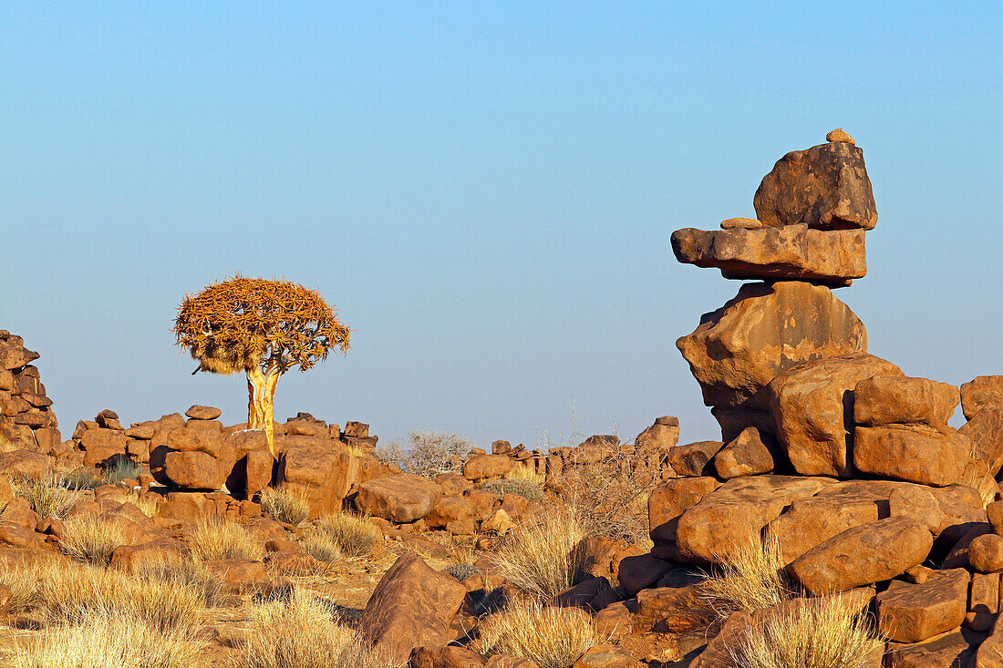Namibia; Zentralnamibia; Region Karas; Kalahari; Spielplatz der Riesen; bizarre Steinformationen aus verwitterten Basaltblöcken; im Hintergrund Köcherbaum