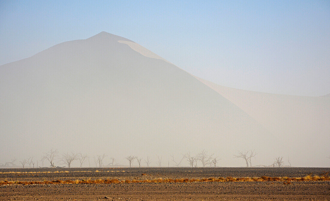 Namibia; Hardap region; Central Namibia; Namib Desert; Namib Naukluft Park; Sandstorm in Sossuvlei