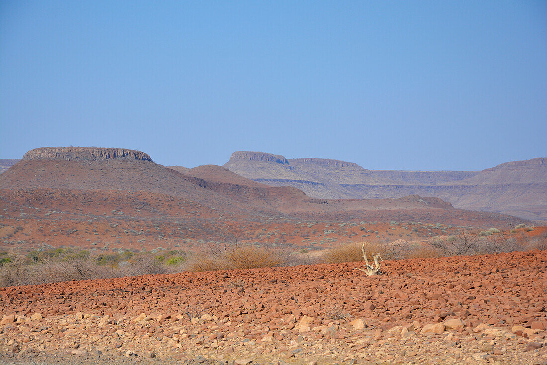 Namibia; Region Kunene; Nordnamibia; Damaraland; Gegend um Palmwag; mit Gräser und Stauden bewachsene Berglandschaft