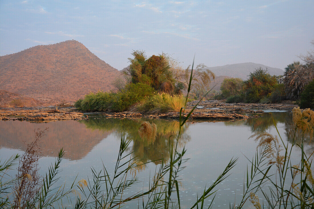 Namibia; Region Kunene; Nordnamibia; Kaokoveld; bei Epupa; Kunene Fluss; üppiger Bewuchs am Ufer mit Palmen und Schilf; Grenzfluss zu Angola