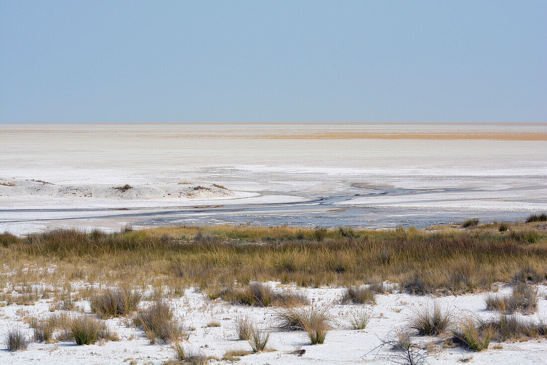 Namibia; Oshikoto region; northern Namibia; eastern part of Etosha National Park; endless Etosha salt pan