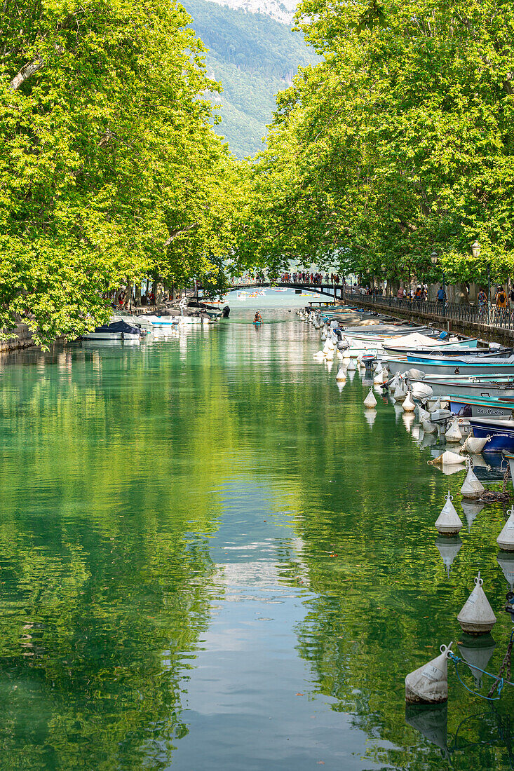 Canal du Vassé with direct access to Lac d'Annecy, Annecy, Haute-Savoie, Auvergne-Rhône-Alpes, France