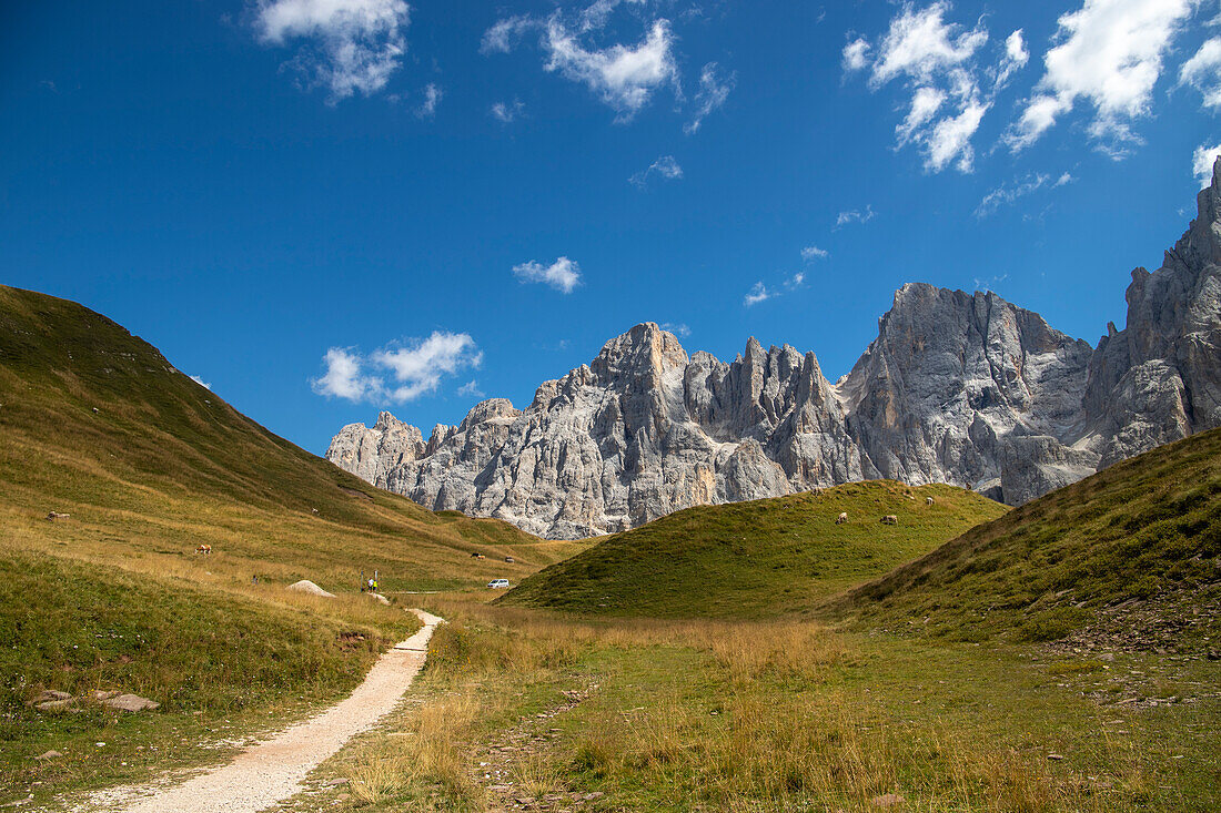 Berggruppe Pale di San Martino. Passo Rolle, Dorf San Martino di Castrozza, Bezirk Trento, Trentino Alto Adige, Italien