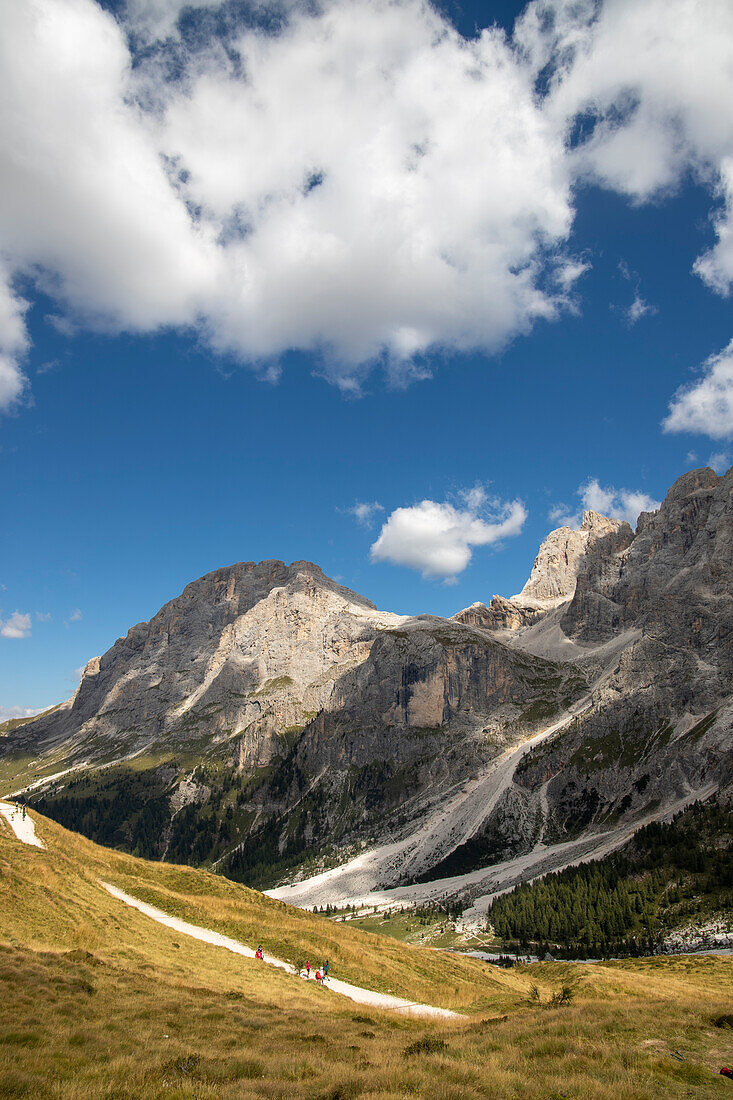 Pale di San Martino mountain group. Passo Rolle, San Martino di Castrozza Village, Trento district, Trentino Alto Adige, Italy