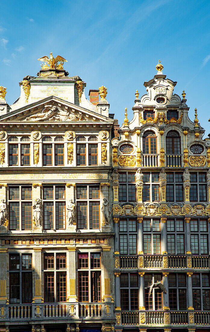 Brüsseler Grand-Place, Grote Markt, Brüssel, Belgien, Europa