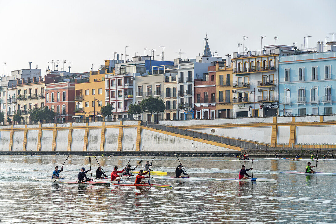 Kayaks auf dem Fluss Guadalquivir vor dem Ufer des Stadtviertel Triana, Sevilla, Andalusien, Spanien  