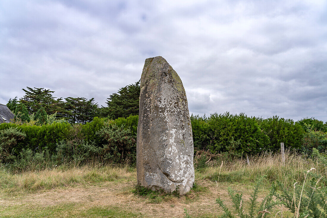 Menhir von Kermaillard bei Sarzeau, Bretagne, Frankreich 