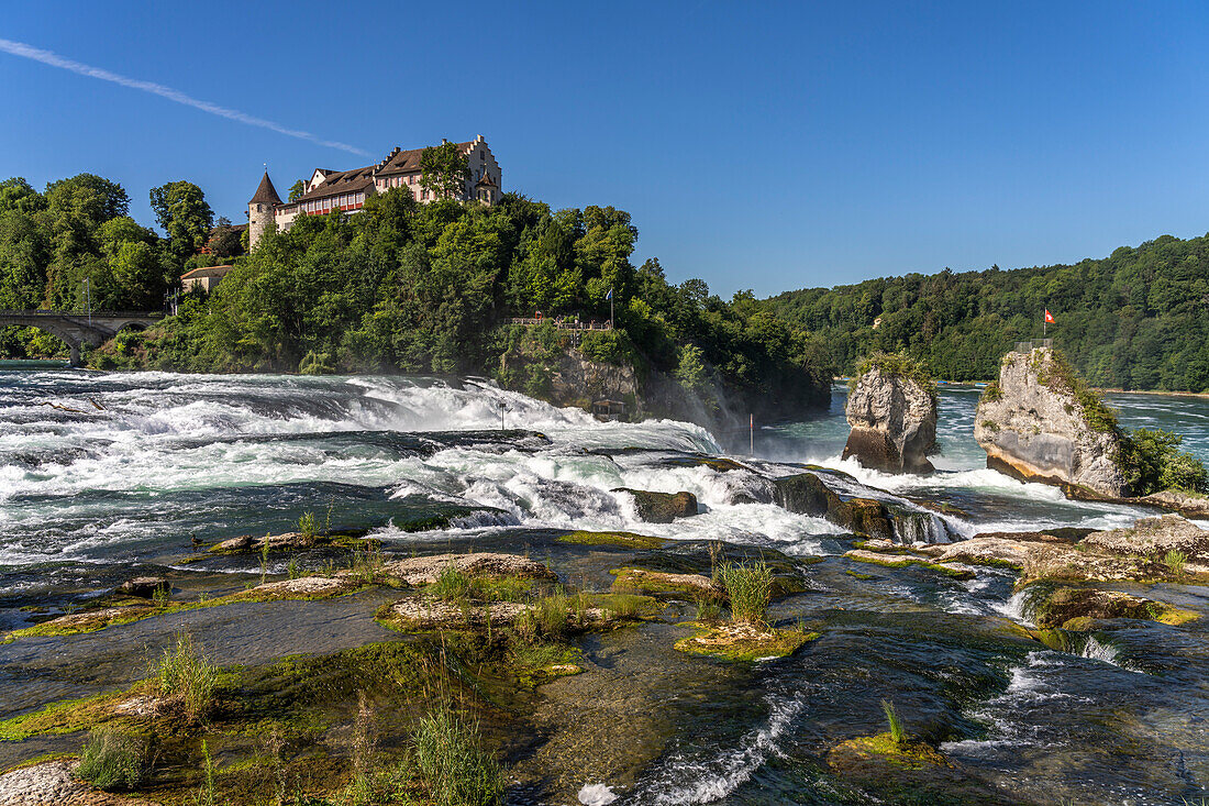 Wasserfall Rheinfall und Schloss Laufen bei Neuhausen am Rheinfall, Schweiz, Europa