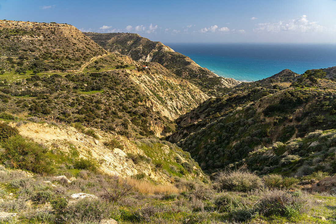 Landschaft am Kap Aspro bei Pissouri, Zypern, Europa 