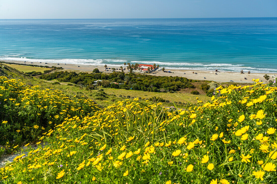 Der Strand von Kourion, Episkopi, Zypern, Europa