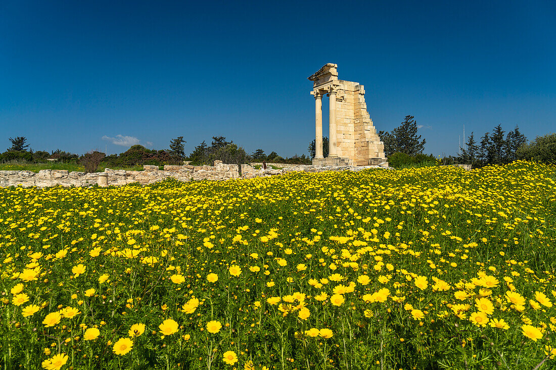 Heiligtum und Tempel des Apollon Hylates in der antiken Stadt Kourion, Episkopi, Zypern, Europa