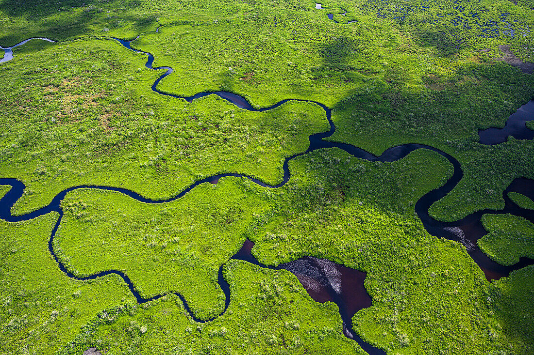 Aerial view of Everglades National Park in Florida, USA