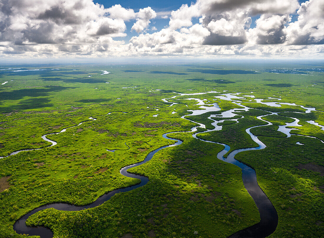 Luftaufnahme des Everglades National Park in Florida, USA