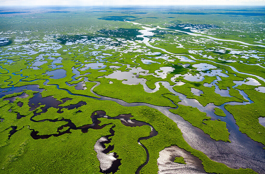 Luftaufnahme des Everglades National Park in Florida, USA