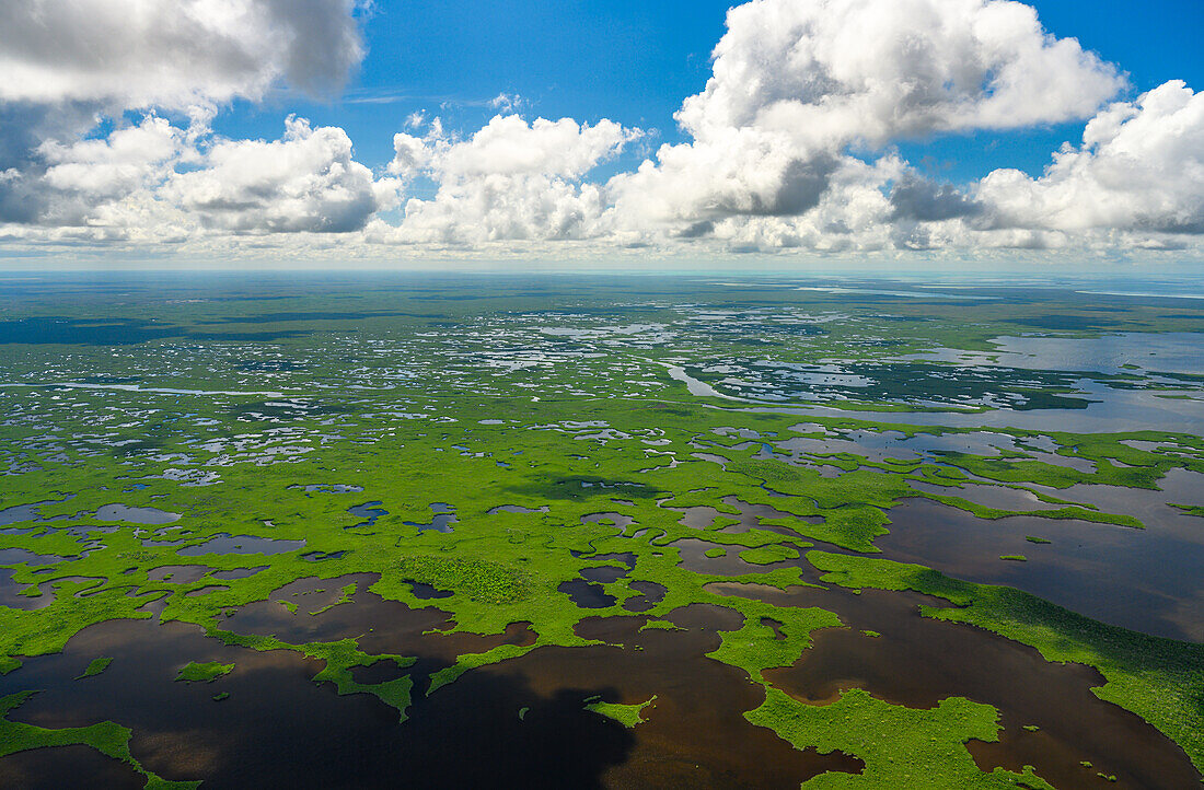 Luftaufnahme des Everglades National Park in Florida, USA