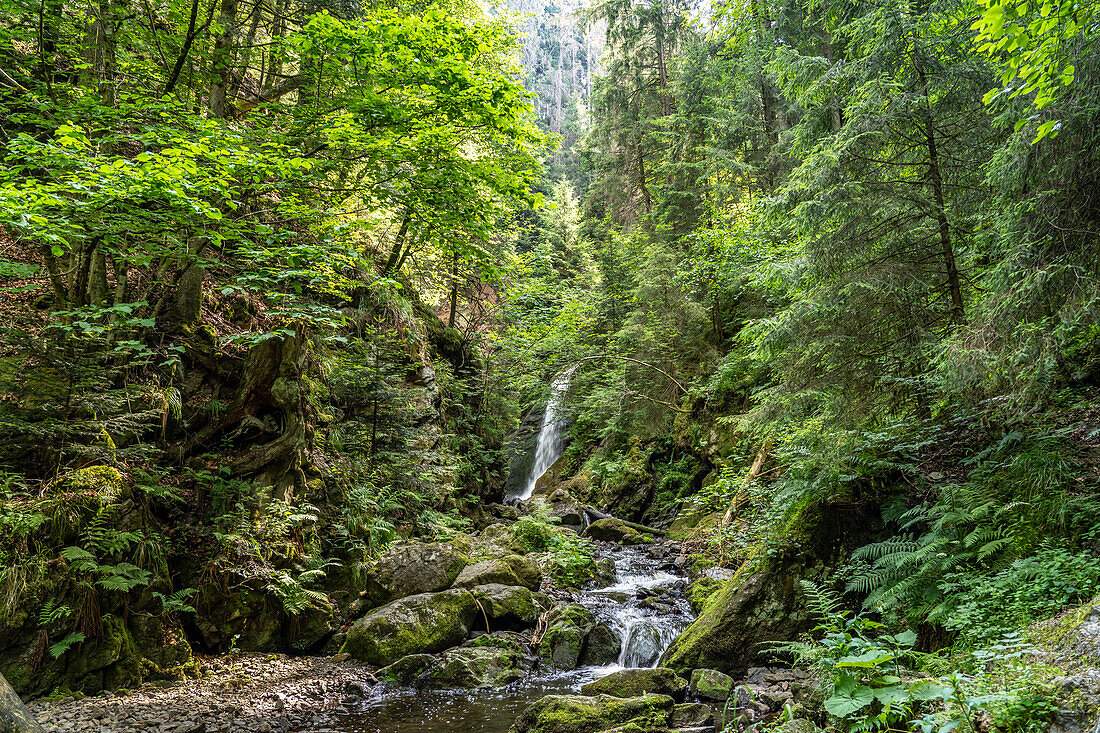 Great Ravennafall waterfall in the Ravenna Gorge near Breitnau, Black Forest, Baden-Württemberg, Germany